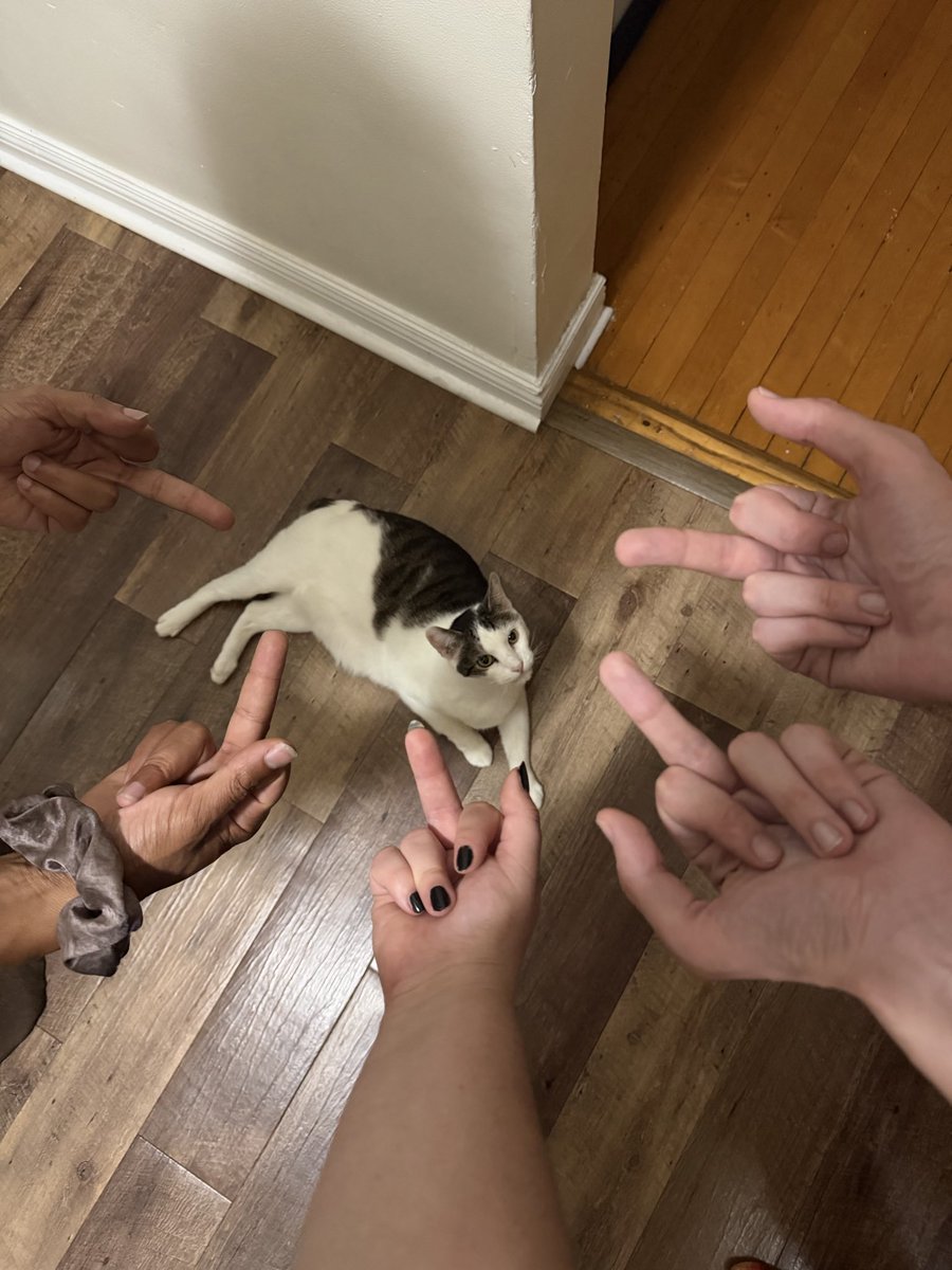 macklecat's tweet photo. besette on all slides https://t.co/0qUE0nlTfD