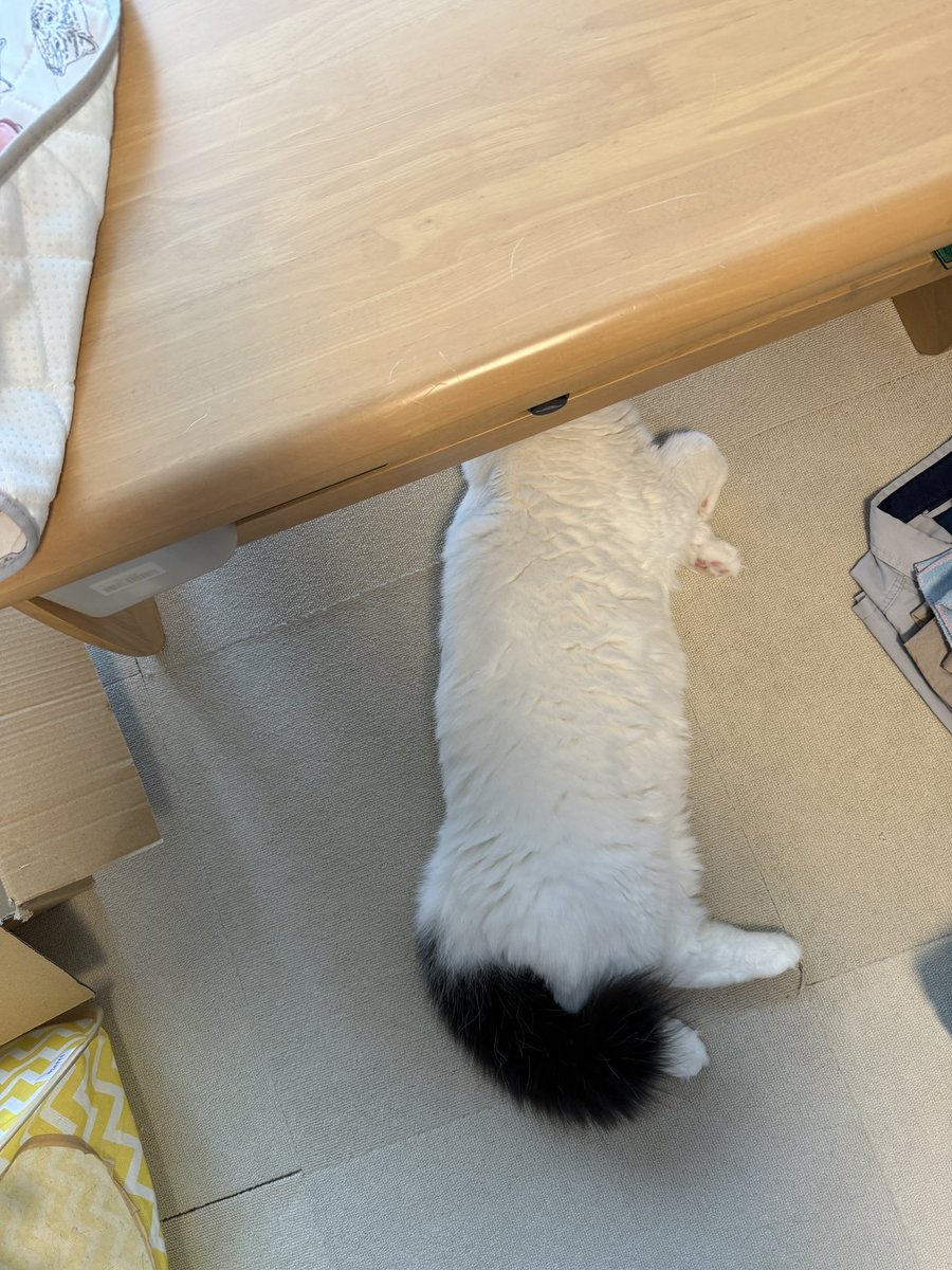 nonminnie's tweet photo. 避難訓練中… https://t.co/6L7oMLusBH