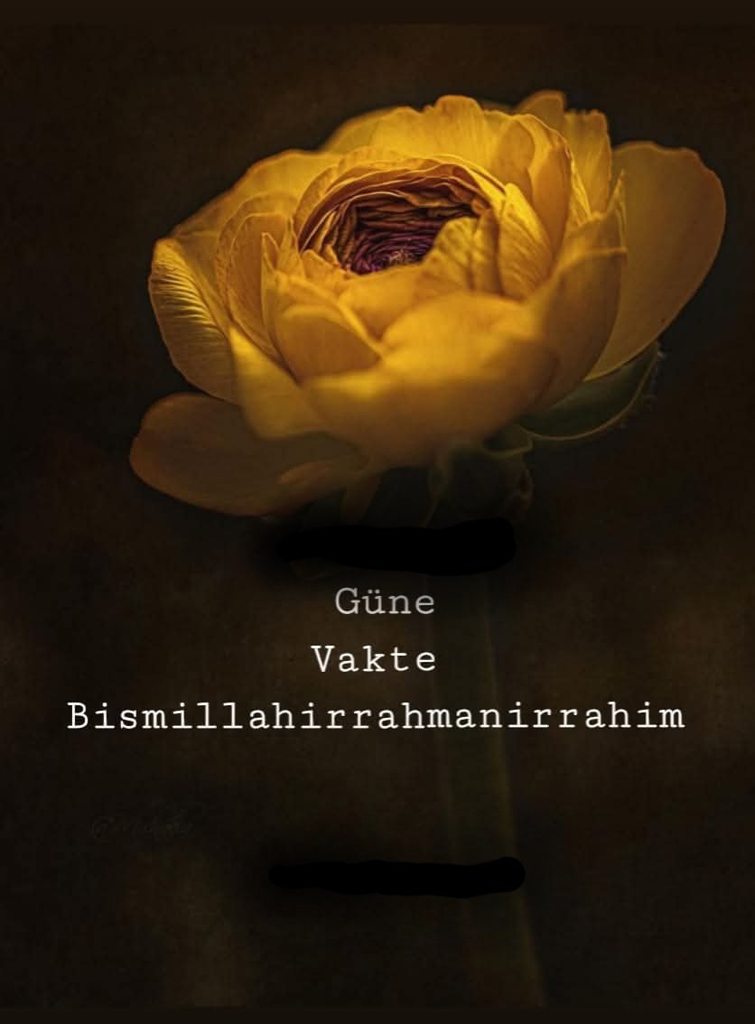 damlasukaya06's tweet photo. #Bismillahirrahmanirrahim
De ki:
Şüphesiz benim namazım, kurbanım, hayatım ve ölümüm hepsi âlemlerin Rabbi #Allah içindir.
(En’ âm 6/162)
Rabbimizin
Yüreklerimize #basiret, dimağımıza feraset, ruhumuza #sükûnet getirmesi niyazıyla
#Hayırlısabahlar
#Sabahlamayı
#Gazze https://t.co/LJqhAvon9W