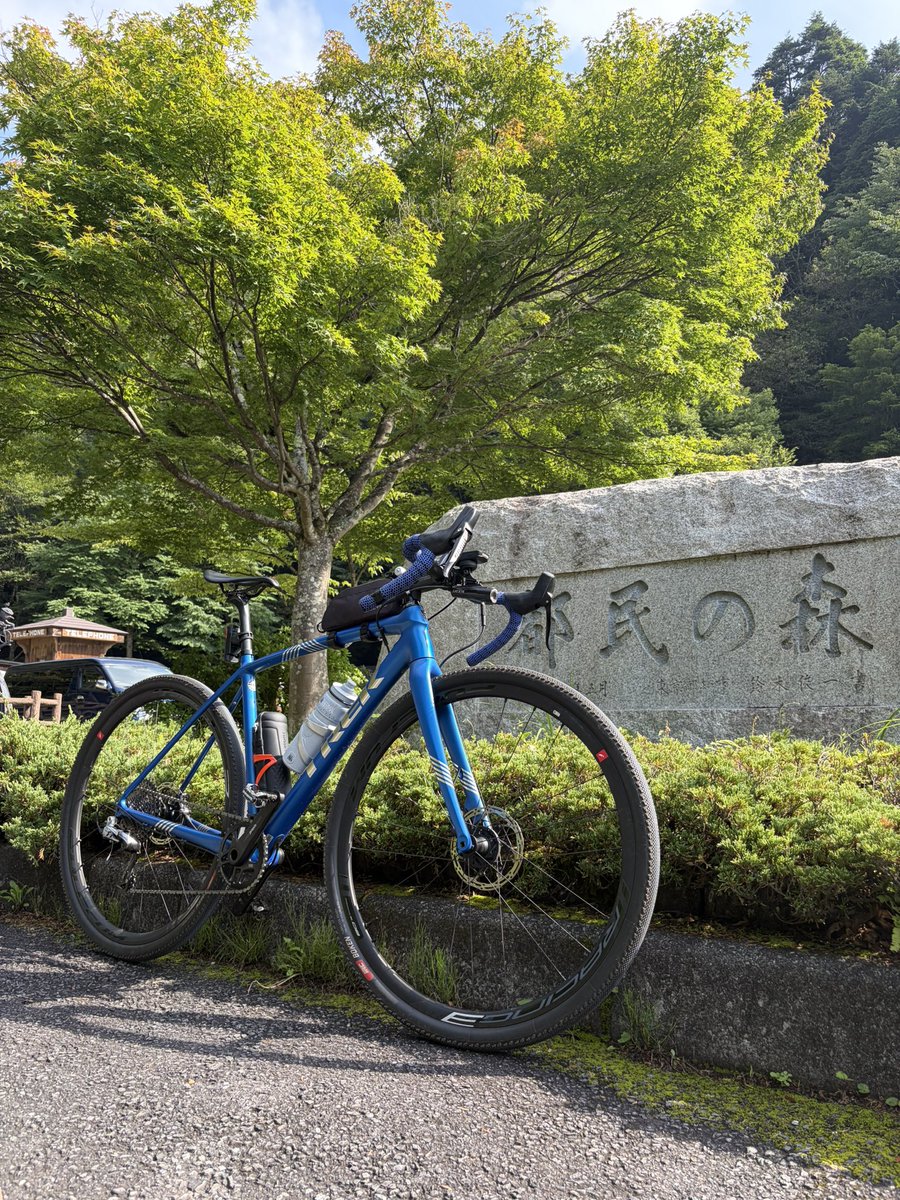 noicycle's tweet photo. なるべく涼しい日影の多そうなコースを選んでグラベルロードで風林にしました。
だけど熊が気になるな😕登りで遭遇は怖いので都民回りの下りで涼んできました。熊は出なかったけど鹿の家族に遭遇🦌
写真撮る間も無く速攻で逃げられました😊 https://t.co/ipeiAU3Ewv