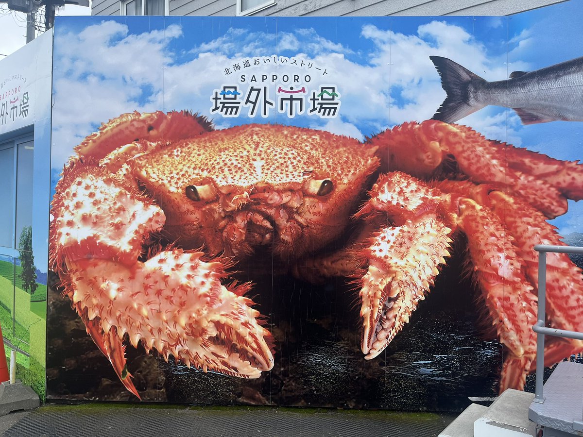 chirotan22's tweet photo. お腹いっぱいだけど札幌市中央卸売場外市場に寄り道。ここのメロンがまーーー甘くて美味しかった！！💓もっともっと食べれば良かったほんとにそれが心残り…🍈 https://t.co/3Lvavmp9dE