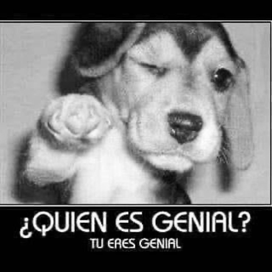 1mshty's tweet photo. estaba escuchando ponyboy y entra mi tía a mi cuarto diciéndome q como se llamaba esa canción pq le gustó https://t.co/JIsDwHNsRU