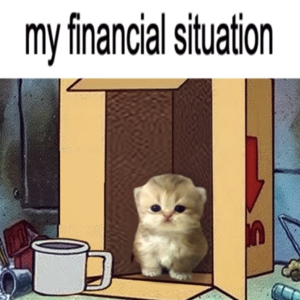 LiterallyMeCats tweet media