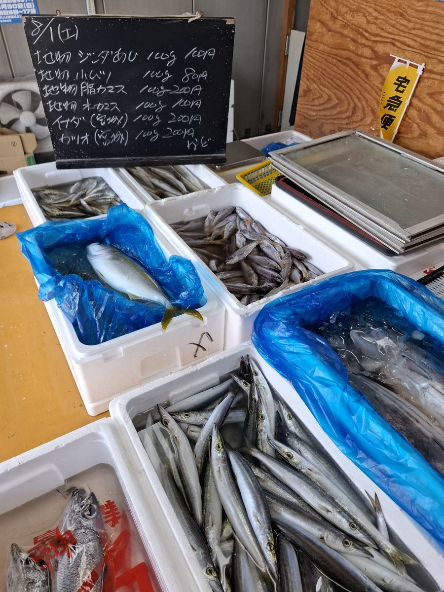 noboruagaru's tweet photo. おはようございます。暑いですねぇ～今日は岩海岸で灯籠流しです。
魚は久しぶり脂カマス入りました。大きめサイズです。本日もよろしくお願いいたします。#真鶴 #真鶴魚市場前販売所 #幸せをつくる真鶴時間 https://t.co/DaFkSWxRY1