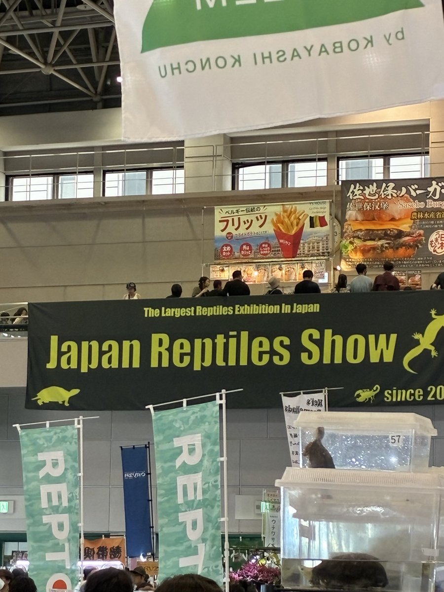 kenjisone2's tweet photo. おはようございます！

ジャパンレプタイルズショー1日目、スタートしております���

皆様のお越しをお待ちしております。 https://t.co/UrmYKAYirH