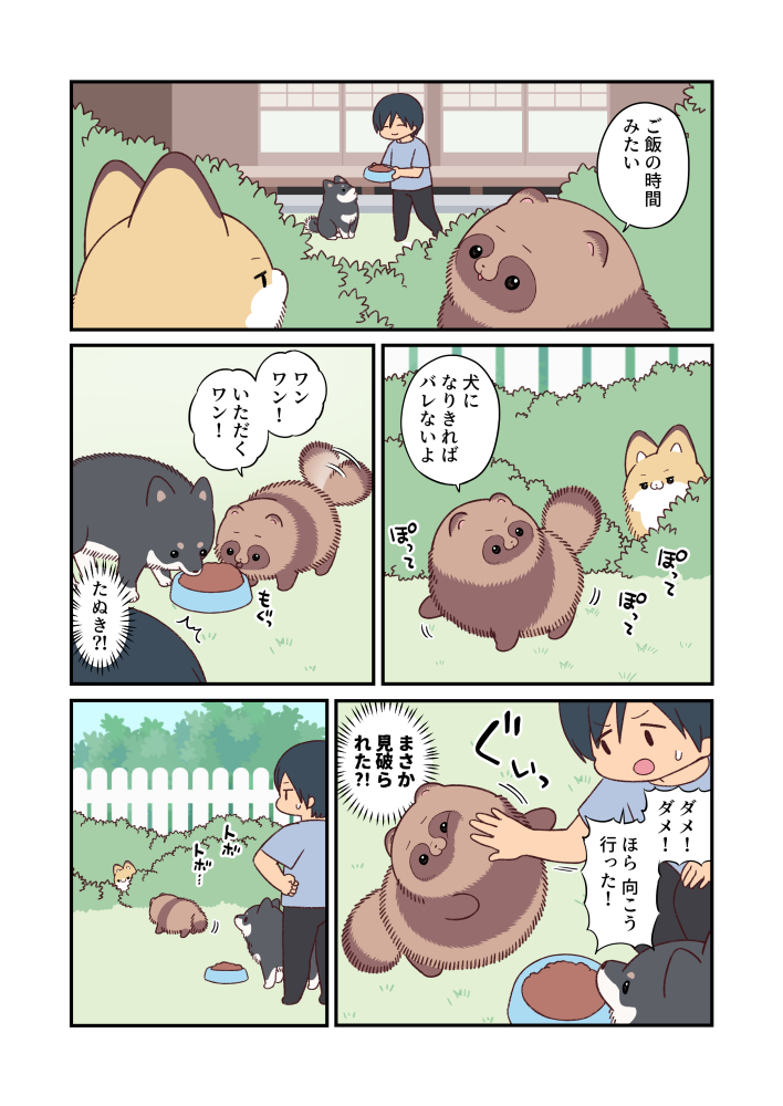 yamada_doujin's tweet photo. どこからどう見てもタヌキだよ https://t.co/qITCYD2Ygf