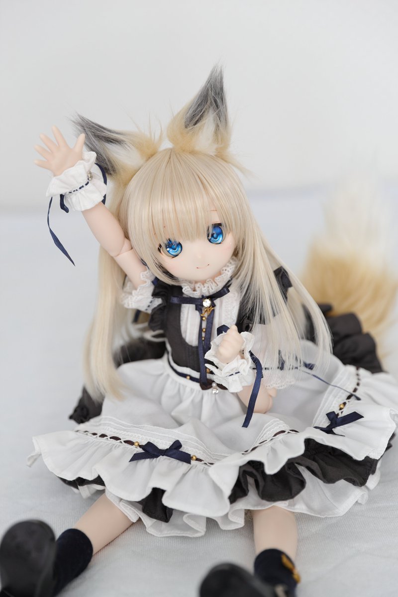 moba_bamo's tweet photo. もっふーฅ^•ω•^ https://t.co/zc3U5z0wUK