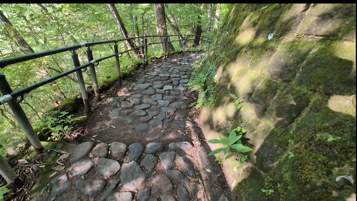 mutenrousi's tweet photo. 【VLOG】日光三名瀑《霧降の滝》栃木県日光市所野 2025.08.17
https://t.co/Wj6Q57XC98
数十年ぶりに来ました
当時の記憶はほとんど無いですね～
ここは、無料の駐車場からの 滑りにくい靴は必須ですが遊歩道が整備されていて 歩き安いです。
ヤマビル対策もした方が良いですね。 https://t.co/yoZEC9wKKH