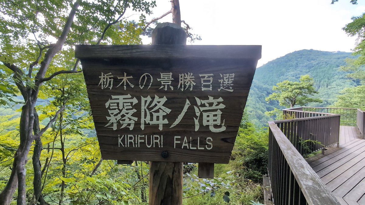 mutenrousi's tweet photo. 【VLOG】日光三名瀑《霧降の滝》栃木県日光市所野 2025.08.17
https://t.co/Wj6Q57XC98
数十年ぶりに来ました
当時の記憶はほとんど無いですね～
ここは、無料の駐車場からの 滑りにくい靴は必須ですが遊歩道が整備されていて 歩き安いです。
ヤマビル対策もした方が良いですね。 https://t.co/yoZEC9wKKH
