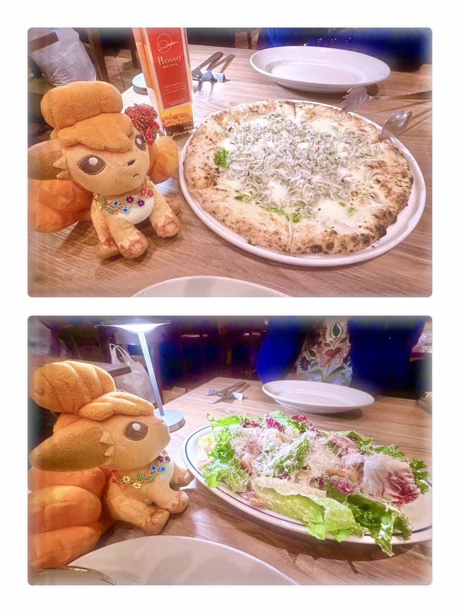 Mariarokon's tweet photo. 美味しいイタリアン🍕🍝

#ポケぬい #ぬい活 #ぬい撮り https://t.co/PgRdrv9ga0
