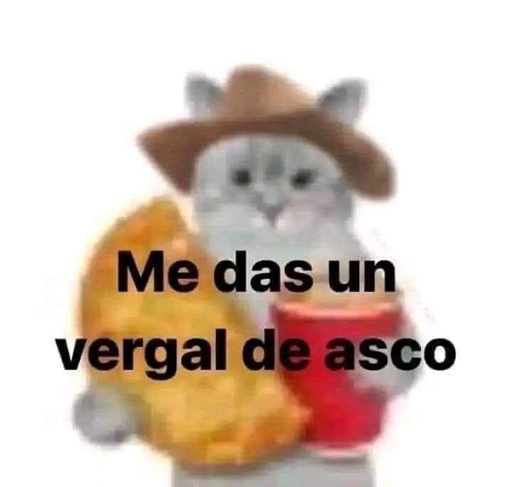 El_Kezit0's tweet photo. @FMF Sigan priorizando el dinero por encima del deporte 🤭 https://t.co/DjcVQ5DhIw