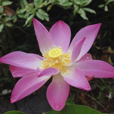 downut822's tweet photo. Practicing regular exercise enhances well-being. Studies show it improves mental clarity by 30%. It reduces stress in daily routines. This habit fosters a healthier lifestyle. Experts suggest starting small for impact. 💎 https://t.co/wIXAJFTlZr