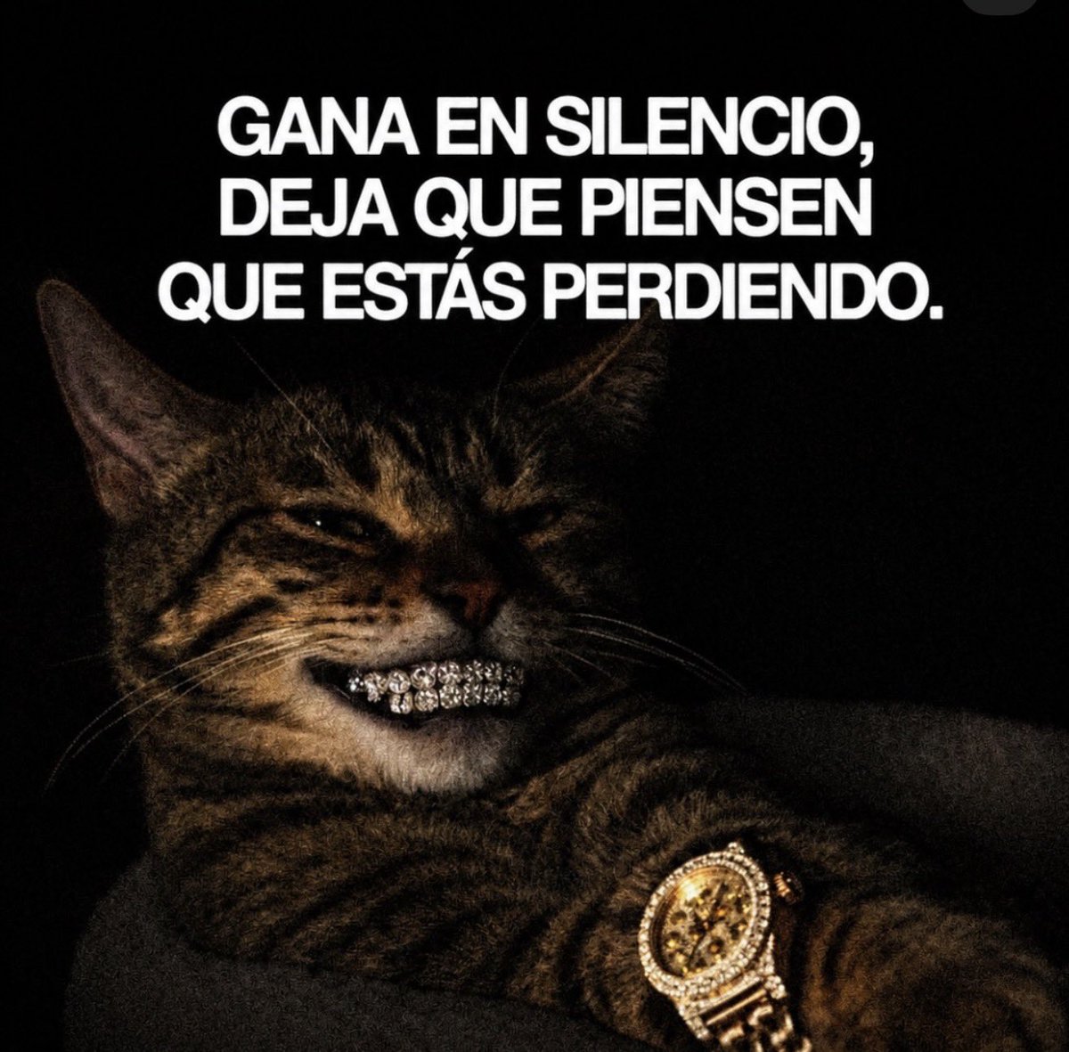 dannyel_0's tweet photo. Ta Loco https://t.co/8bw6n0o8uO