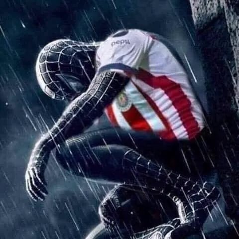 sott_daylight's tweet photo. Ni como defenderlos ptm https://t.co/vflNc0o7hm
