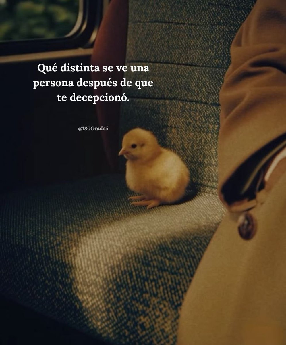 soysilencieux's tweet photo. https://t.co/rxi460FwBw