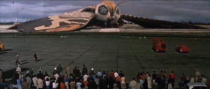 DailyMothra tweet picture