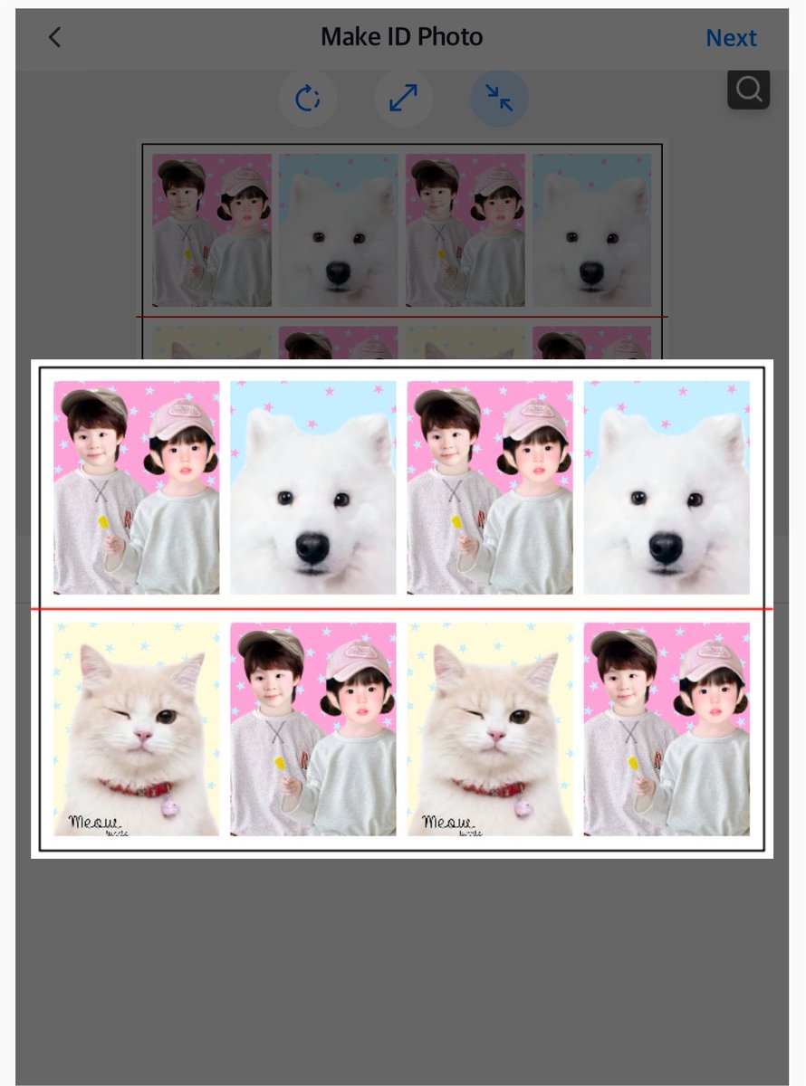_minebaobing's tweet photo. จั้นเอ็นดูหลานจั้นมาก https://t.co/8YEBvAQuI0