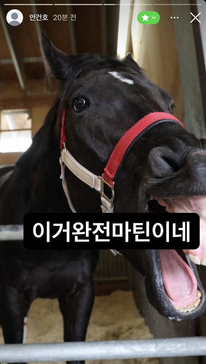 wniinn's tweet photo. 안거노 수학여행if https://t.co/43K3FsbkyN