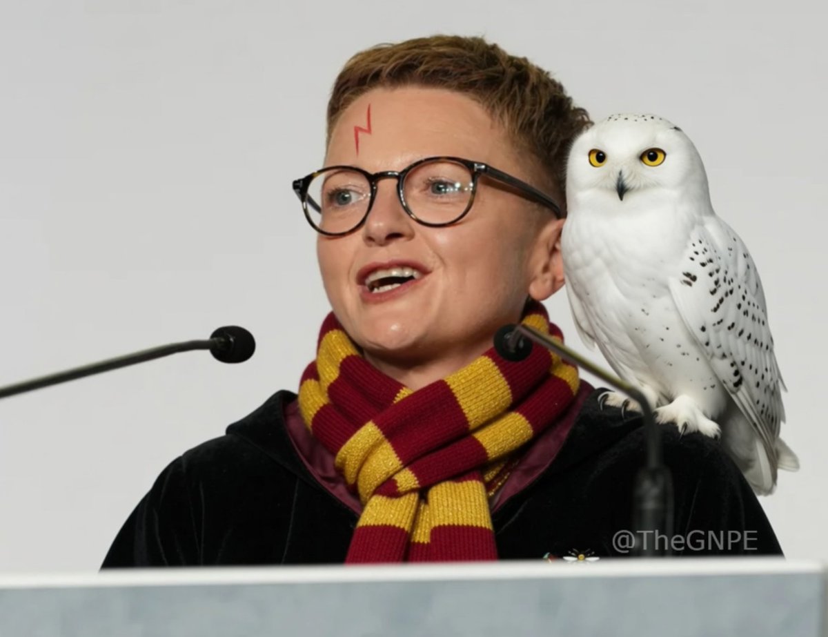 TheGNPE's tweet photo. Harry Potter is officially the new Mayor of Manchester https://t.co/Tyn8BtOCLu