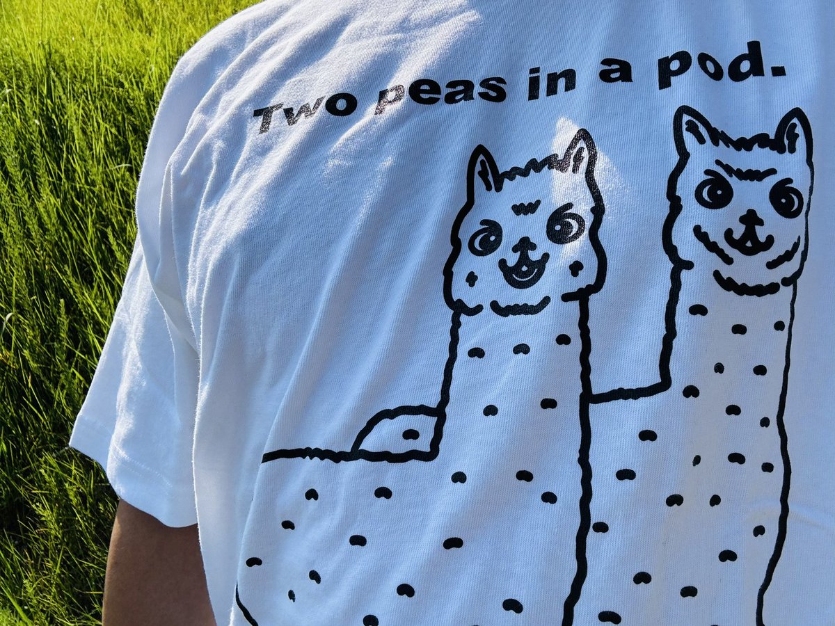 tshirtsjapan's tweet photo. 今日は全国アルパカの日だけど今年は昨日が初アルパカ・アルパカ Tシャツのホワイトを着て今は洗濯かごの中だから2年前の8月1日の写真を🦙🦙😄😄
https://t.co/ycgIXm1xRD
#アルパカの日🦙#alpaca https://t.co/oVCESJCAEf