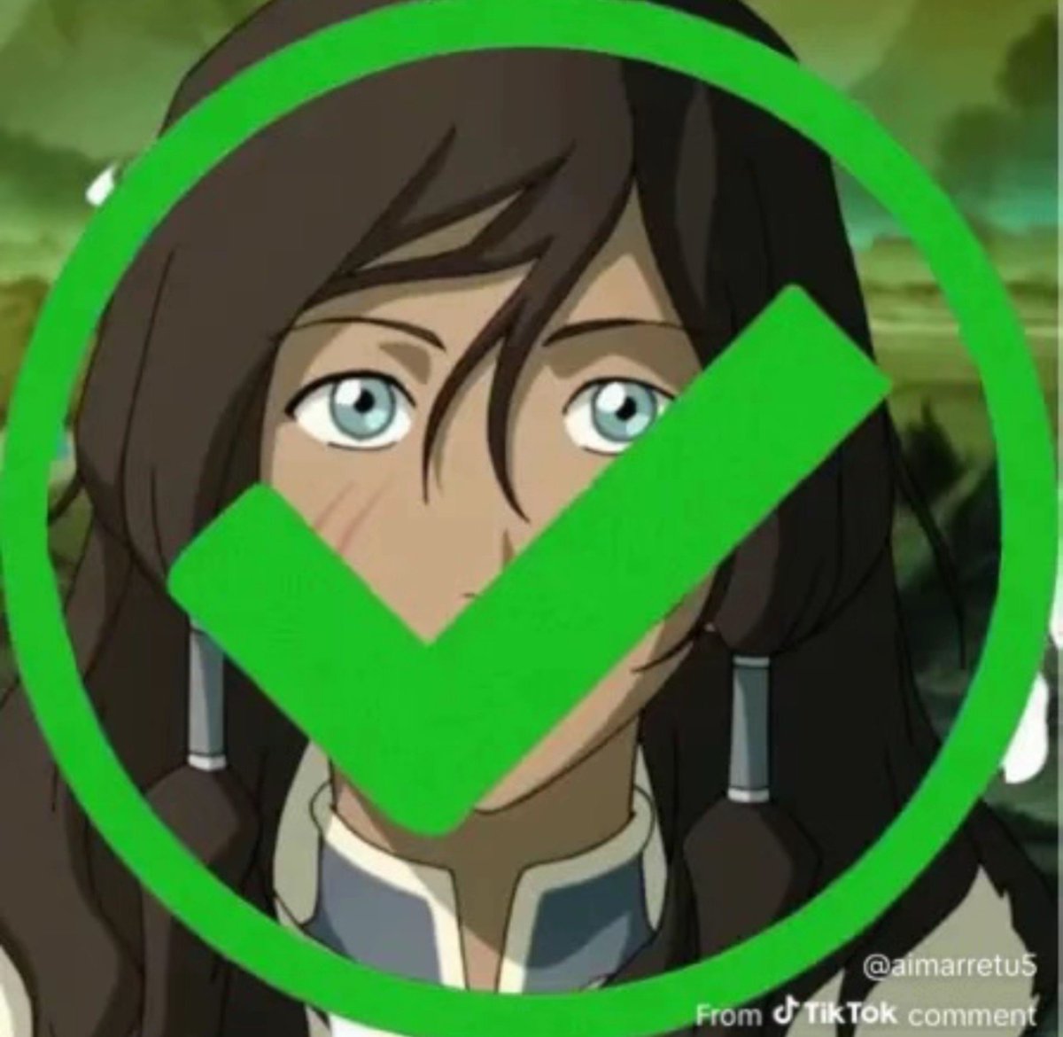 poppoudamykler's tweet photo. pronto pra defender a korra ate o fim https://t.co/iJu9o8HdAA