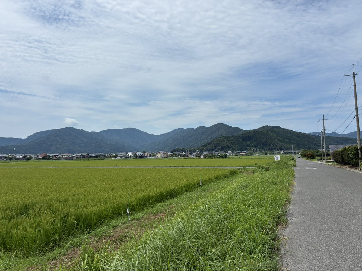 hrymotac's tweet photo. なんもなさすぎる（当然歩道もない） https://t.co/ZDG6jeN7Jt