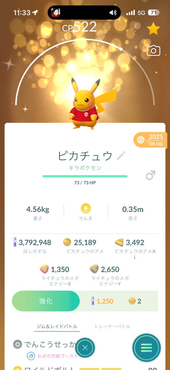 ColocciniGen's tweet photo. ブルーノ、移籍決まったとしたらユニ間違えてインドネシア代表になったらいいのにな。 https://t.co/CFPR8guYcW