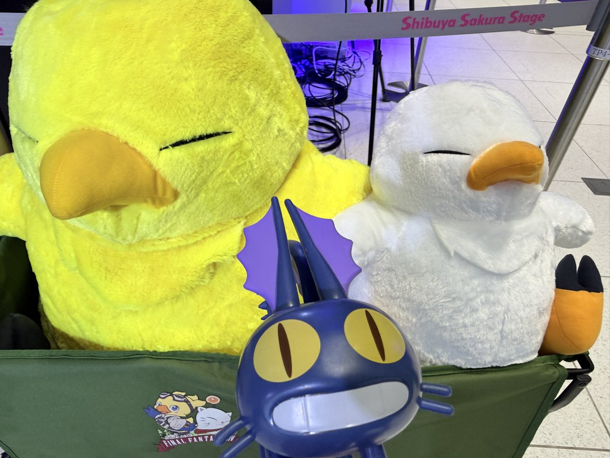 Robin_gungnir's tweet photo. いたキャ サクラステージだよ https://t.co/V3Ph6RIrQ1