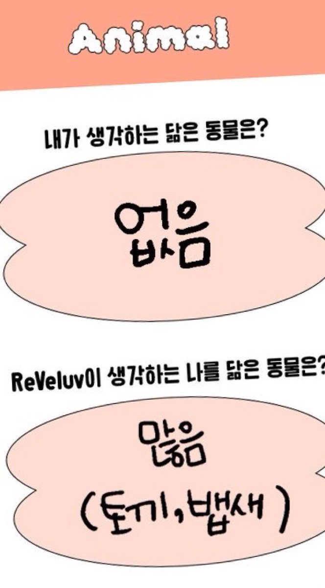 imbiggestfan's tweet photo. 끝까지 덤보는외면하는거 개웃 https://t.co/7veyRjBIX3