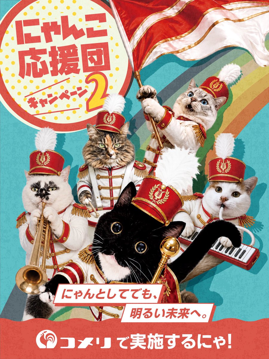 muddycat_atami's tweet photo. 今年もコメリさんで「にゃんこ応援団キャンペーン」が始まりました！
お買い物するだけで保護猫ちゃん支援になります！
ミーちゃんも応援団として参加してるよ♪
みんなコメリへ急げっ💨
#にゃんこ応援団 #コメリ #PR https://t.co/vmYGrx36we