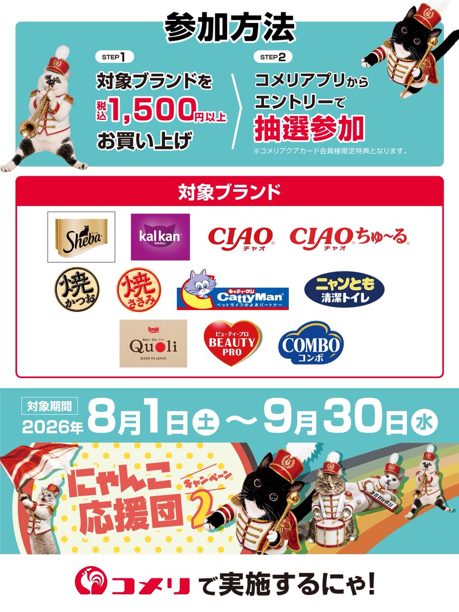 muddycat_atami's tweet photo. 今年もコメリさんで「にゃんこ応援団キャンペーン」が始まりました！
お買い物するだけで保護猫ちゃん支援になります！
ミーちゃんも応援団として参加してるよ♪
みんなコメリへ急げっ💨
#にゃんこ応援団 #コメリ #PR https://t.co/vmYGrx36we