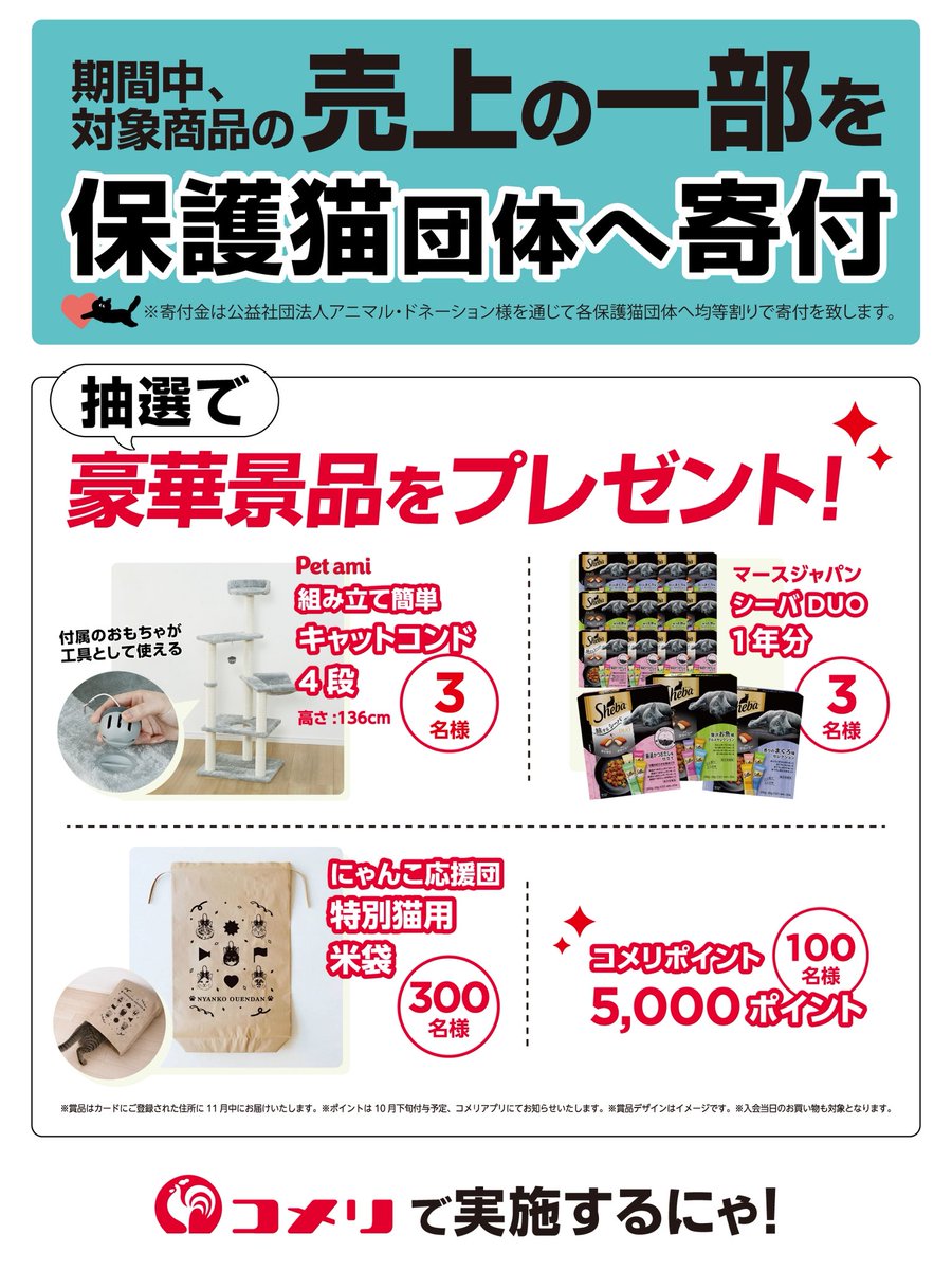 muddycat_atami's tweet photo. 今年もコメリさんで「にゃんこ応援団キャンペーン」が始まりました！
お買い物するだけで保護猫ちゃん支援になります！
ミーちゃんも応援団として参加してるよ♪
みんなコメリへ急げっ💨
#にゃんこ応援団 #コメリ #PR https://t.co/vmYGrx36we