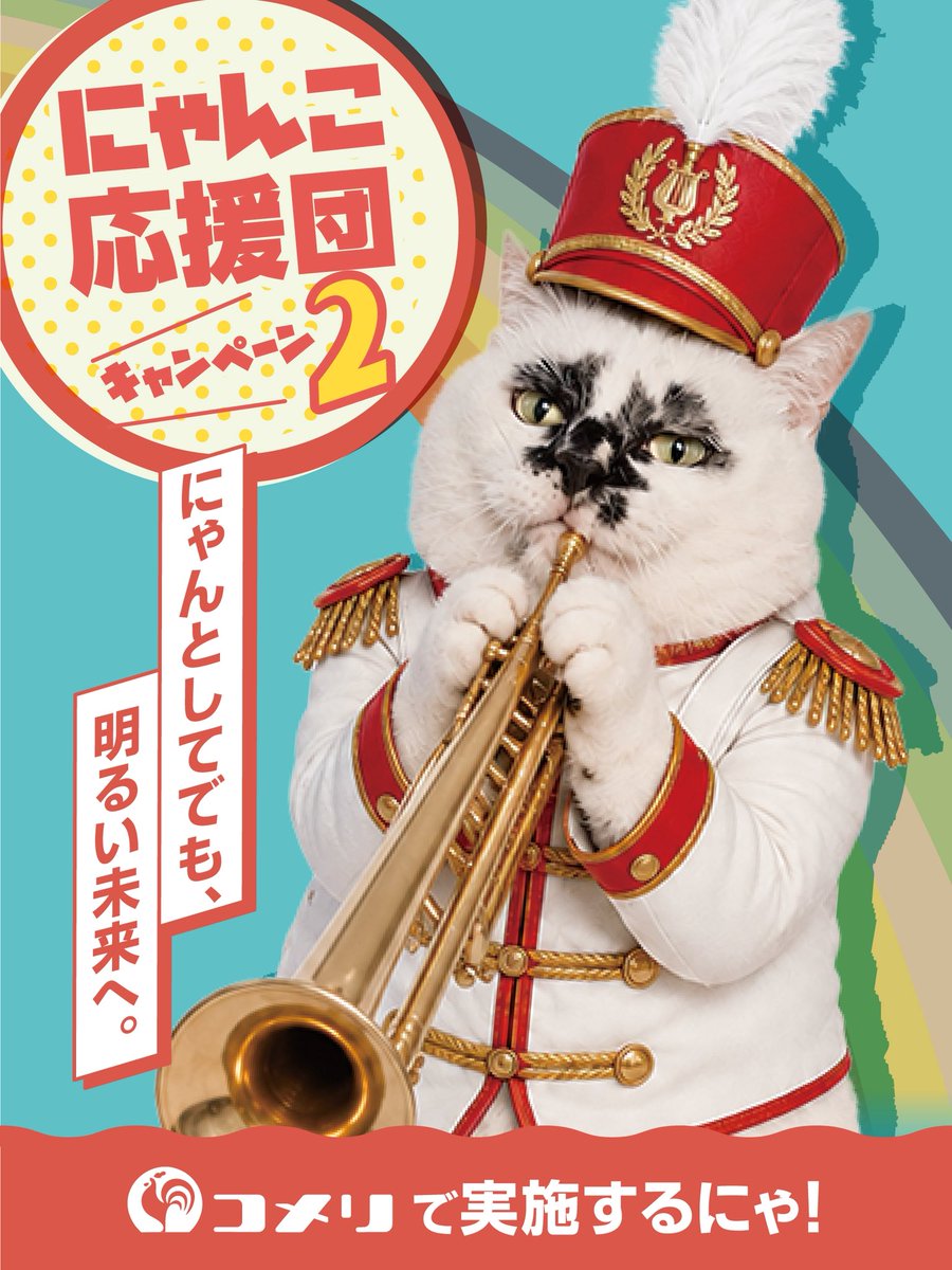 muddycat_atami's tweet photo. 今年もコメリさんで「にゃんこ応援団キャンペーン」が始まりました！
お買い物するだけで保護猫ちゃん支援になります！
ミーちゃんも応援団として参加してるよ♪
みんなコメリへ急げっ💨
#にゃんこ応援団 #コメリ #PR https://t.co/vmYGrx36we