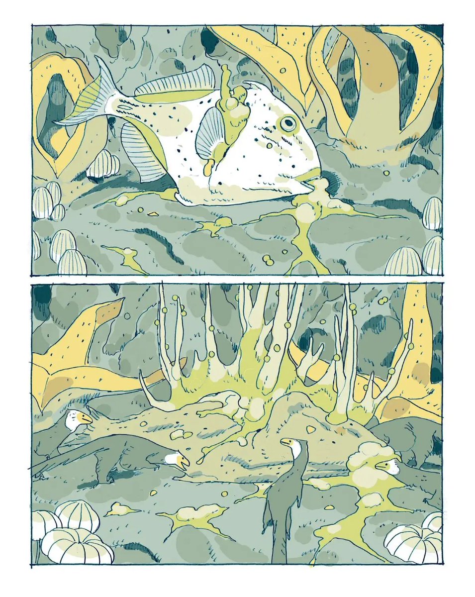ingested_sand's tweet photo. Linnea Sterte - Stages of Rot https://t.co/SyH6alyEXH