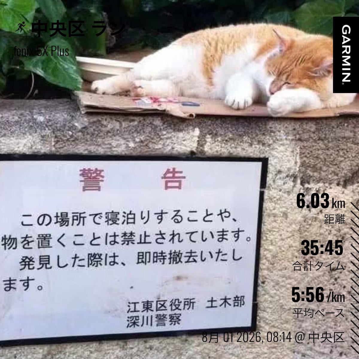 adobesystem's tweet photo. 恒例の福岡大濠公園でのジョギング同好会　ゆるラン
酷暑の中みんなで大濠公園3周 https://t.co/1xFsc6DJGR