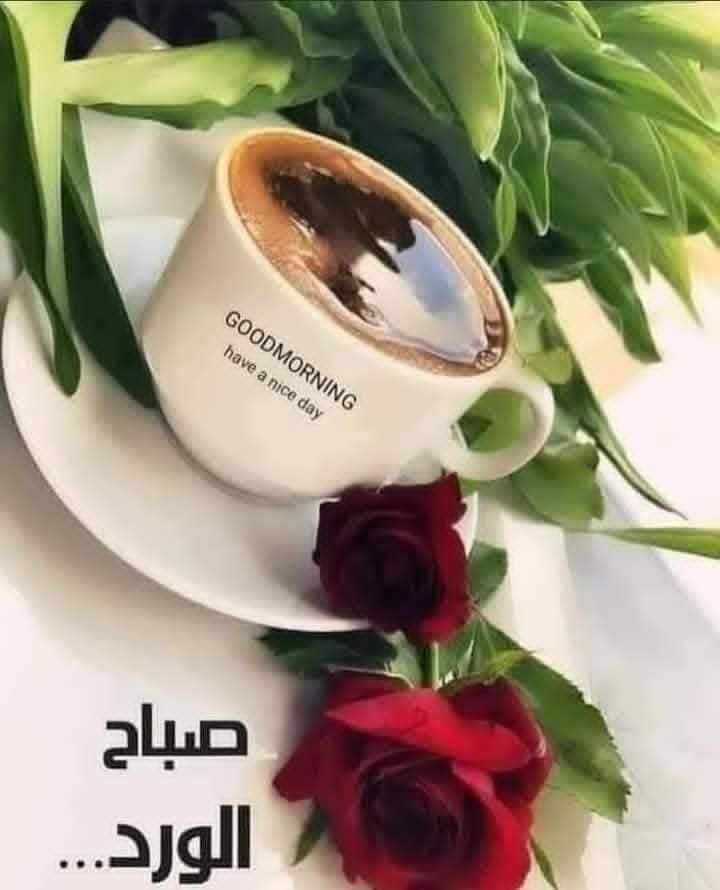 AMwsy53010's tweet photo. @Svetlan58591806 https://t.co/H7mJdievjL