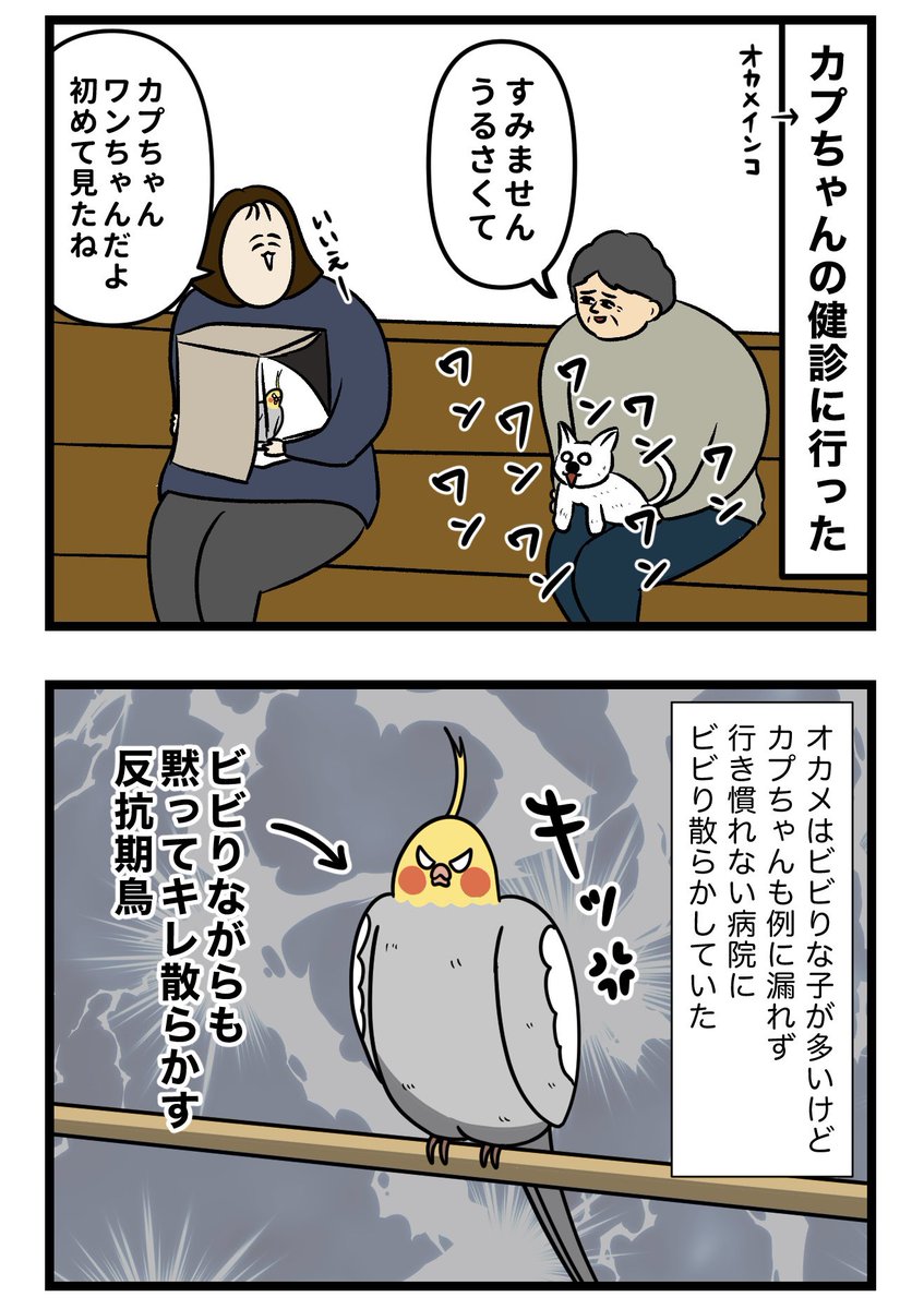 nonno_kaba's tweet photo. 初めて犬を見た鳥
1/2 https://t.co/4QoUC2VGy7