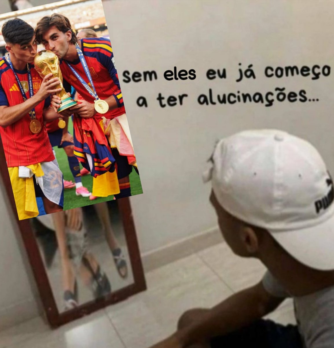 acervo fedri tweet media