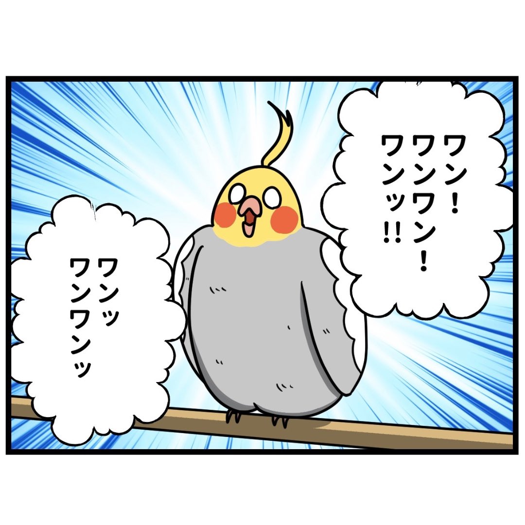 nonno_kaba's tweet photo. 2/2 https://t.co/hqz8i6LX09