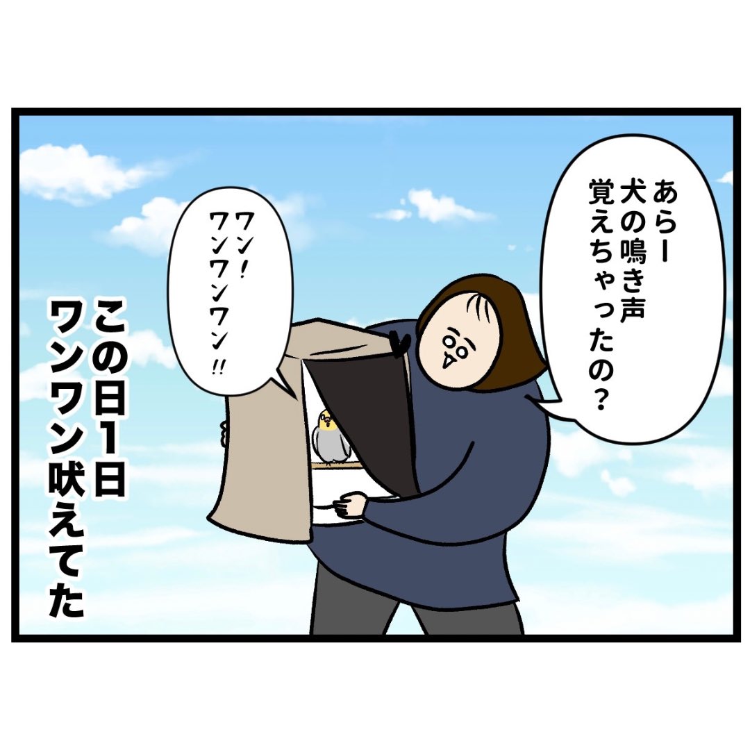 nonno_kaba's tweet photo. 2/2 https://t.co/hqz8i6LX09