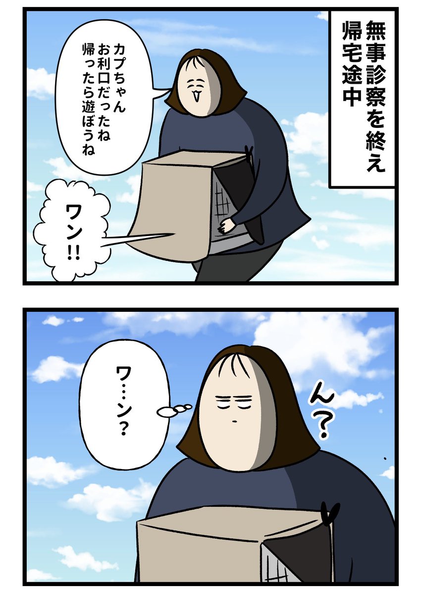 nonno_kaba's tweet photo. 2/2 https://t.co/hqz8i6LX09