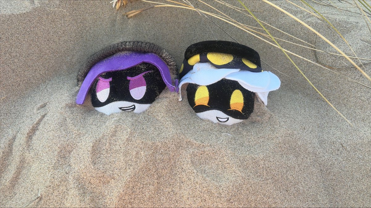 curedbow's tweet photo. Don’t bother them , they’re sleeping … 🥺 https://t.co/0kvpg4rYeT