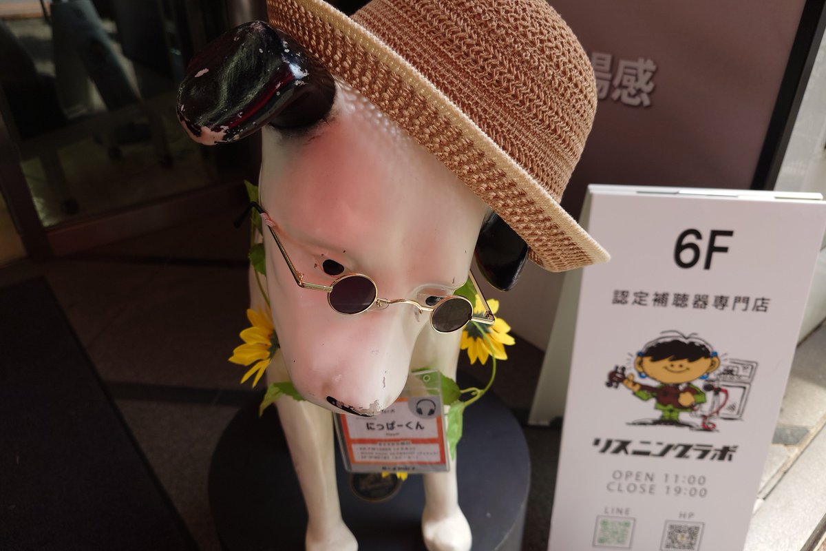 haruko_425's tweet photo. イケワンがいた https://t.co/VS0LA3YPt9