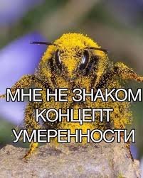 nightis4soul tweet picture