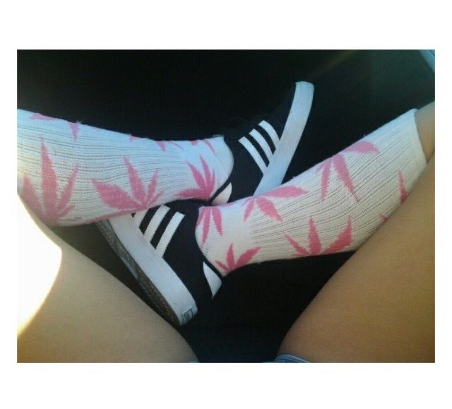 4liengrrl's tweet photo. #weedtwt https://t.co/fXyt4fQwnr