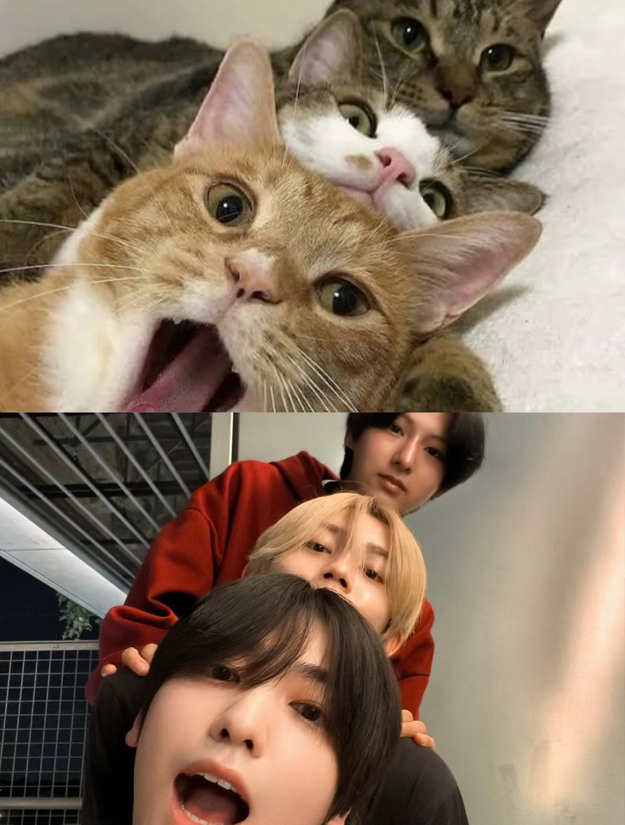 AST8official's tweet photo. みなさん、MVはもうチェックしてくれましたか？👀

僕たちはみなさんの反応が気になりすぎて、昨夜はスマホでコメント欄を無限スクロール。
「そろそろ寝よう」と思ってから、気づけばしっかり夜更かししていました📱

まだまだひよっこの僕たちですが、これからもっと成長して、さらにかっこいい姿をお見せできるよう��張ります！

MVの感想もたくさん聞かせてください！
※全部読んで、また眠れなくなる予定です。