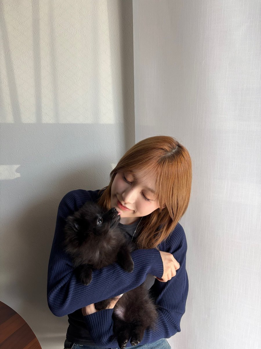 Won222___'s tweet photo. 모닝 미남이 https://t.co/G3KhBfK5HK