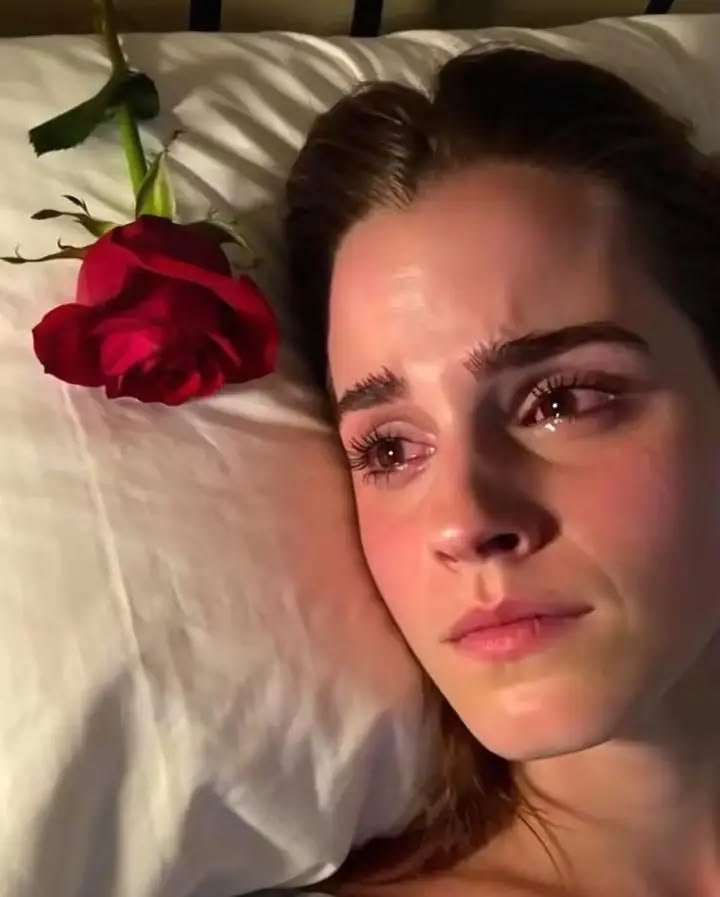 EmmaWatsonja's tweet photo. I bought a flower for you my love and you left me 💔💔💔 https://t.co/7lVzE5icPz