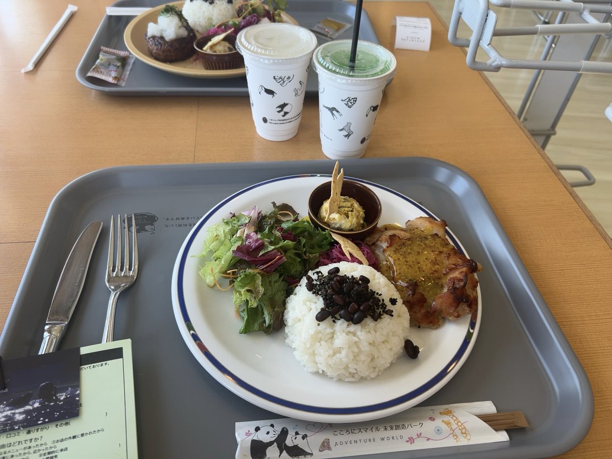 ayk06188332's tweet photo. 優待券でアドベンチャーワールド暑かったけどめちゃ楽しかった🌊🐬 https://t.co/pJL6MDwKpW