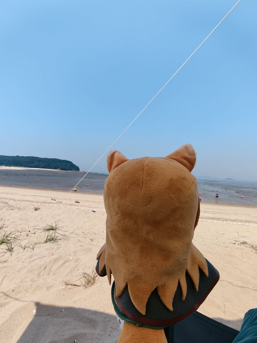 guevarache64753's tweet photo. 이것이 저의 누이구루미 (인생 처음임!!) 입ㄴ다
귀엽죠

상어 인형 (프로필 사진) 도 가져오고싶었지만
짐이 너무 많았기 때문엣.. https://t.co/yTSXUQRDz8
